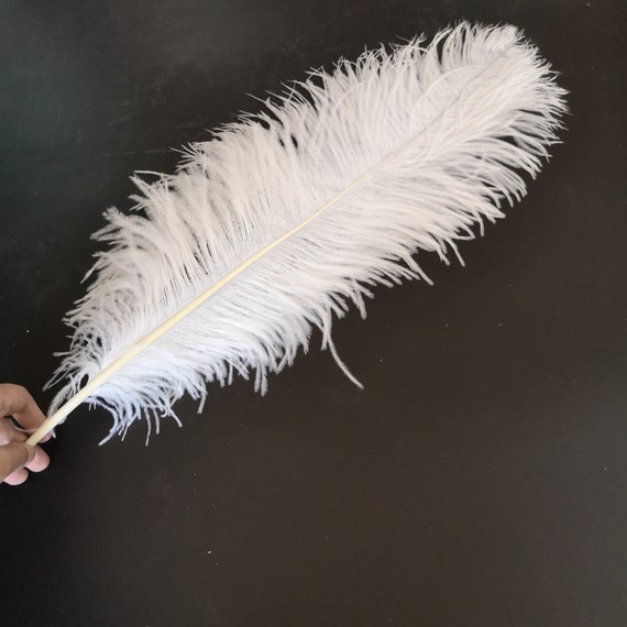 10 1000pcs High Quality 18 20 Inches White Ostrich Feather Wedding Decoration Diy Vase Arrangement Dress Making Handmade Feather Etsy UK