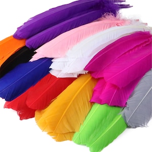 10 -100Stk Gänsefedern 25-30 CM/10-12 Zoll Natürliche Federn für Diy Karneval Party Home Kleidung Kopfschmuck Dekor Handwerk