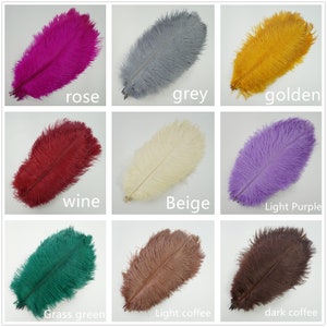 AAA 10pcs High quality 6-32 inches natural ostrich feather wedding decoration diy vase arrangement dress making handmade feather 30colors image 3