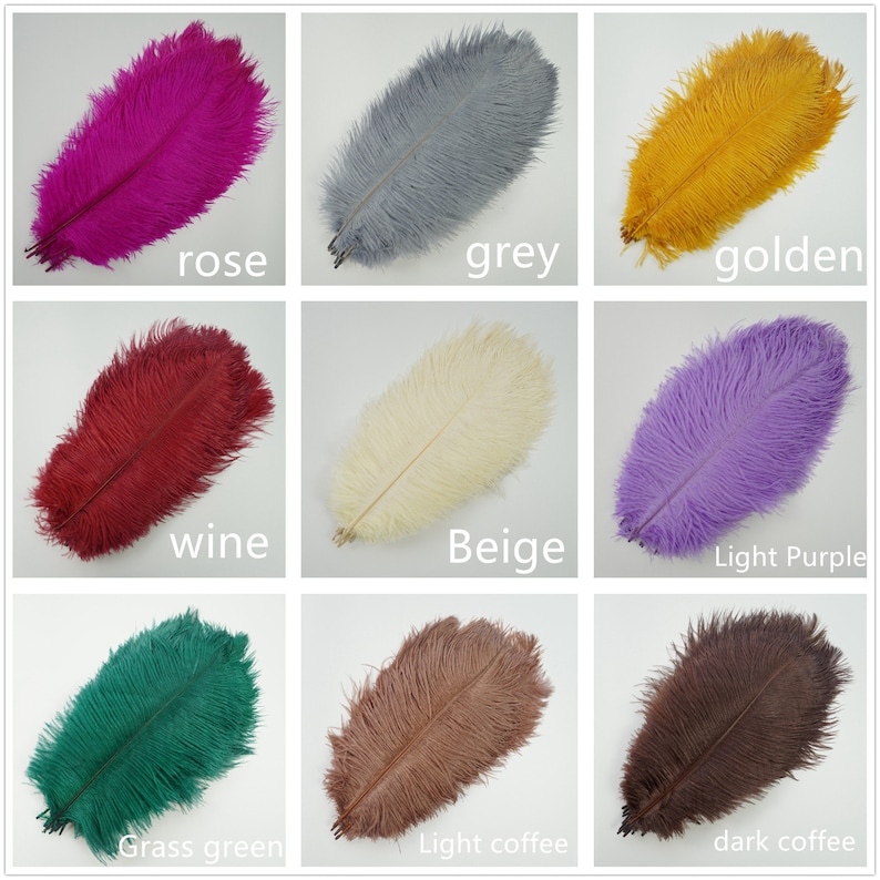 AAA 10pcs High quality 6-32 inches natural ostrich feather wedding decoration diy vase arrangement dress making handmade feather 30colors image 3