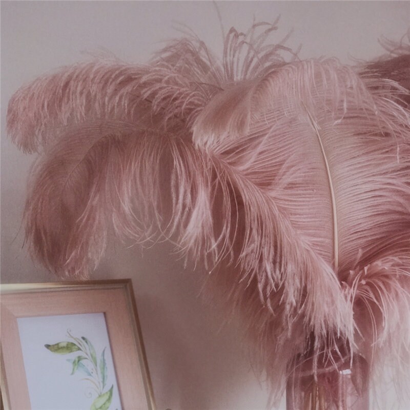 Blush Pink Ostrich Feathers 12-14 inches 100 Pieces Dozen Blush