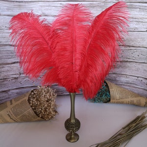 red Ostrich Feather 100pcs 6-30Inch/15-75CM Home Decor Wedding Arrangement High Quality Handmade Feathers