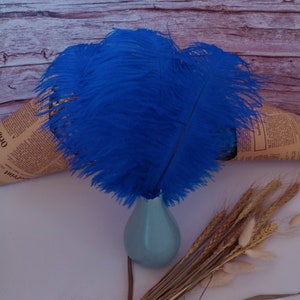 sapphire Ostrich Feather 100pcs 6-30Inch/15-75CM Home Decor Wedding Arrangement High Quality Handmade Feathers