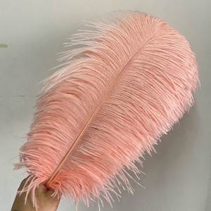 Faux Ostrich Feather Stems Pink Fake Ostrich Feathers Faux -  Norway