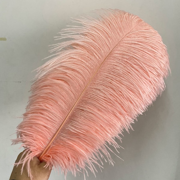 AAA+ 100pcs High quality 20-22 inches shrimp powder ostrich feather wedding decoration diy vase arrangement dress making handmade feather