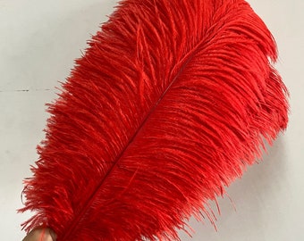 AAA+ 100pcs High quality 20-22 inches red ostrich feather wedding decoration diy vase arrangement dress making handmade feather