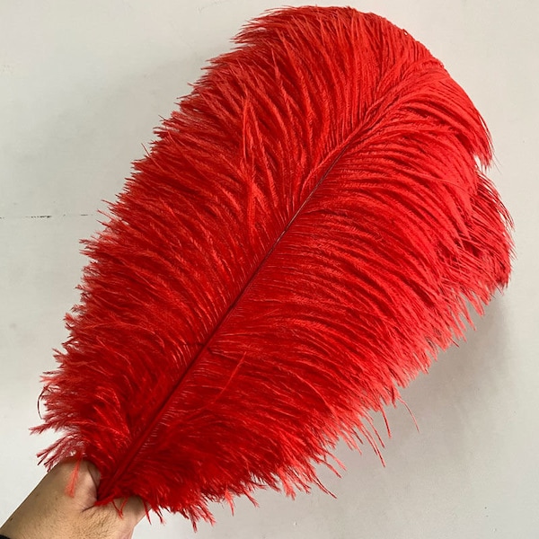 AAA+ 100pcs High quality 20-22 inches red ostrich feather wedding decoration diy vase arrangement dress making handmade feather