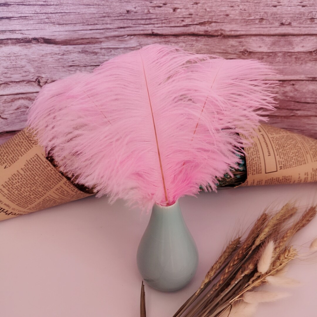 10Pcs Natural Hot Pink Ostrich Feathers 15-75cm Wedding Party