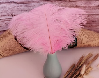 Pink Ostrich Feather 100pcs 6-30Inch/15-75CM Home Decor Wedding Arrangement High Quality Handmade Feathers