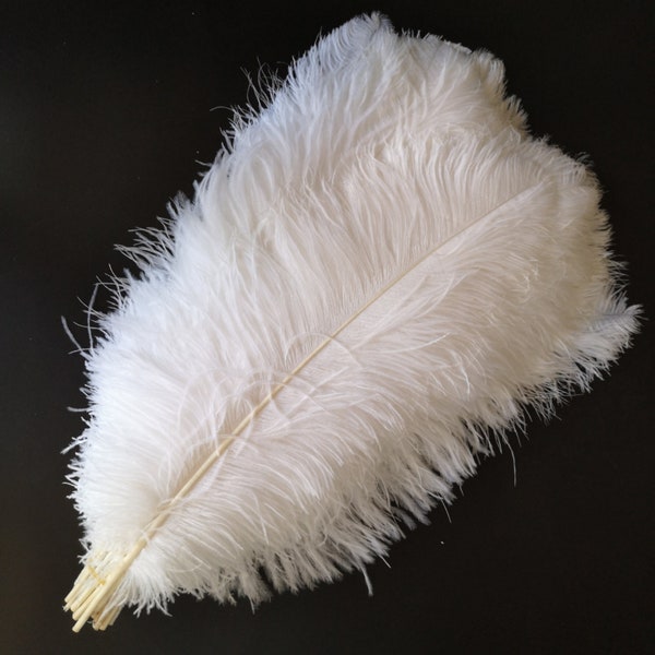 100pcs High quality 22-24 inches white ostrich feather wedding decoration diy vase arrangement dress making handmade feather