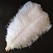 see more listings in the ostrich feather section