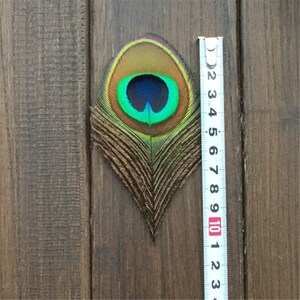 High Quality T 8-10cm Length Nature Peacock Feather Eyes Blue Peacock Eye Diy Wedding Decoration Feather