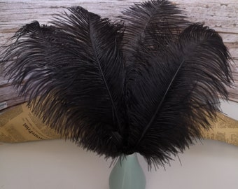 black Ostrich Feather 100pcs 6-30Inch/15-75CM Home Decor Wedding Arrangement High Quality Handmade Feathers