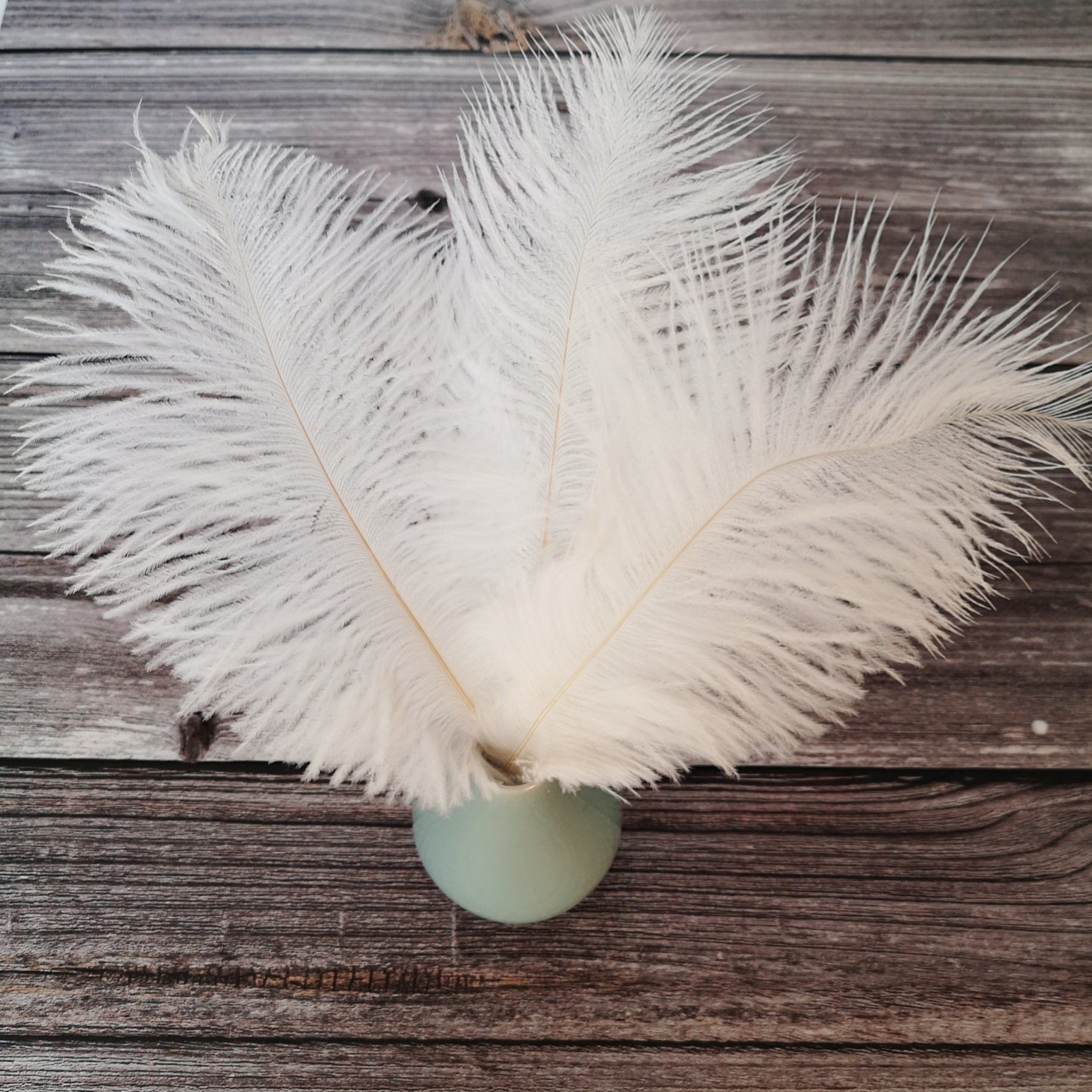 15-80cm White Ostrich Feather Hair for Dresses & Decor - OneYard