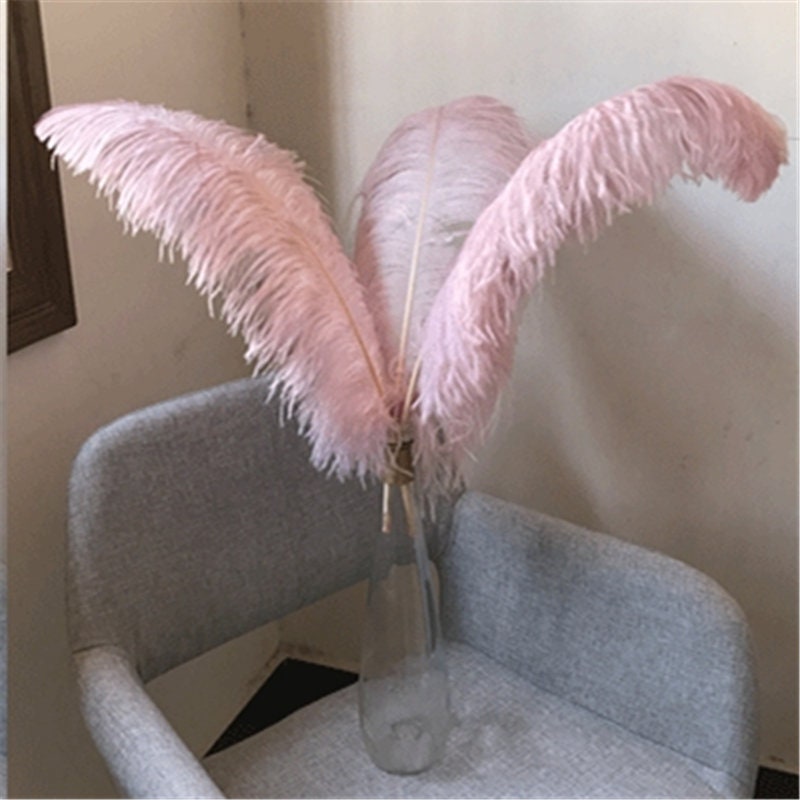 wholesale Quality 10pcs perfect natural Large feathers Pink ostrich feather  26-28inch / 65-70cm decoration diy