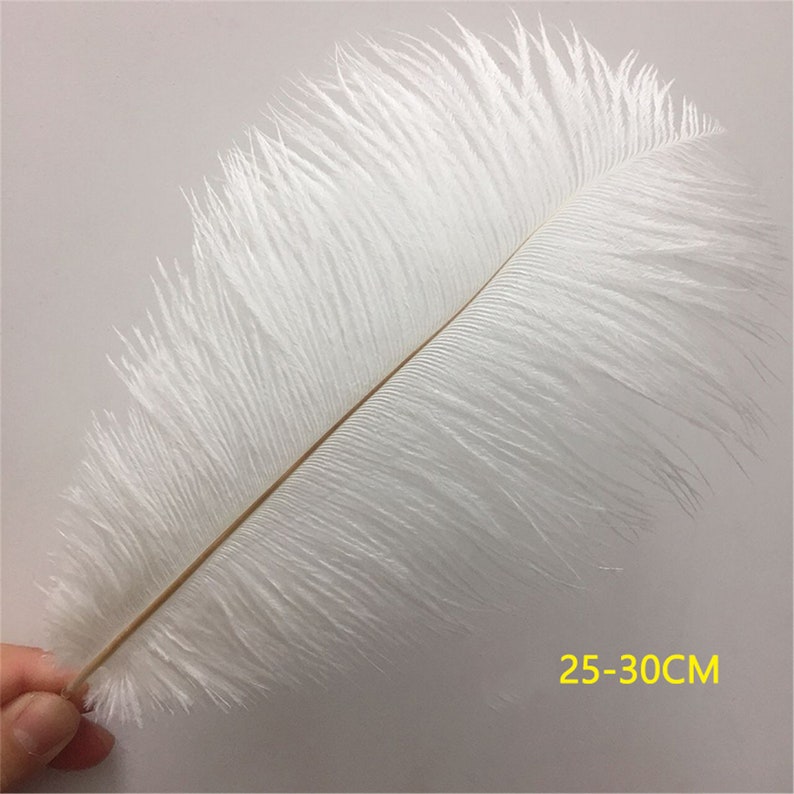 AAA 100pcs High quality 20-22 inches white ostrich feather wedding decoration diy vase arrangement dress making handmade feather image 5