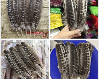 Smear Energy Purify Feather High-quality 10-1000pcs/lot Natural Diy Decoration  3-15 Inch /7-36cm 6 different styles Feathers