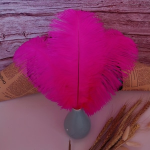 Rose red  Ostrich Feather 100pcs 6-30Inch/15-75CM Home Decor Wedding Arrangement High Quality Handmade Feathers