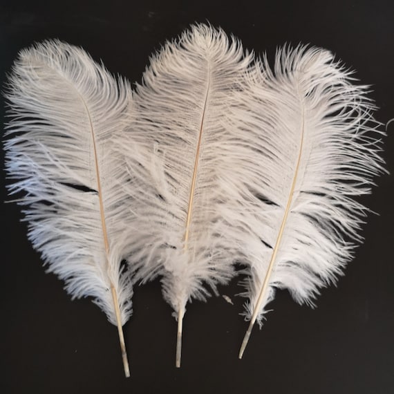16 inch ostrich feathers discount