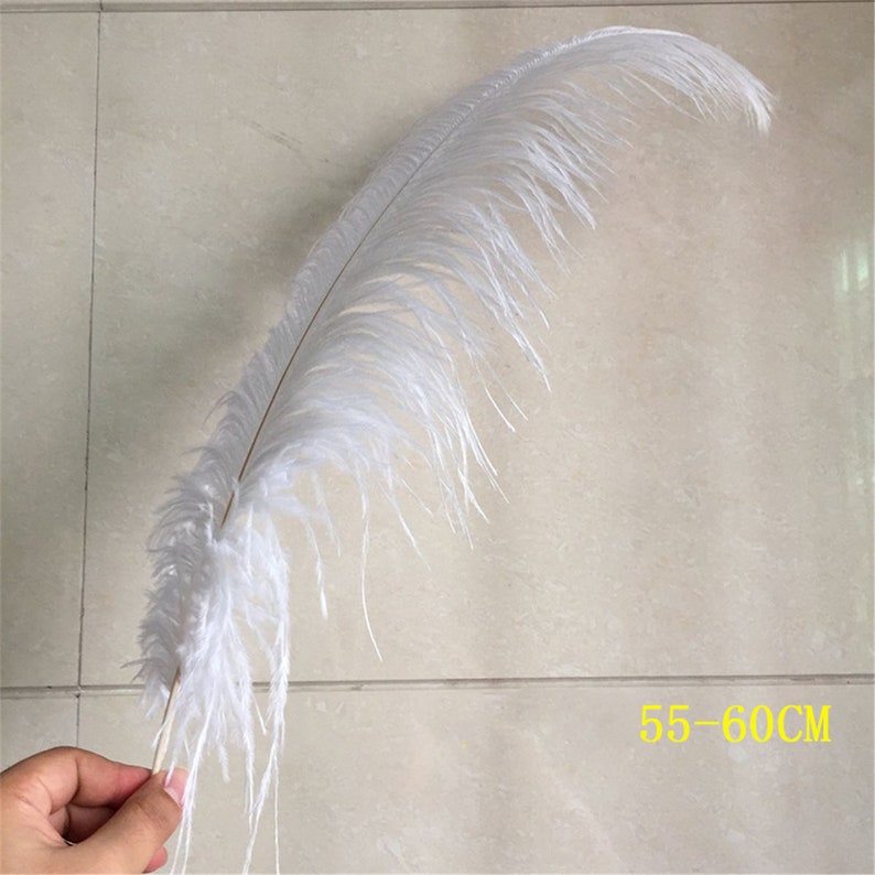 AAA 100pcs High quality 20-22 inches white ostrich feather wedding decoration diy vase arrangement dress making handmade feather image 6