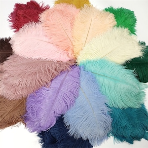 AAA 10pcs High quality 6-32 inches natural ostrich feather wedding decoration diy vase arrangement dress making handmade feather 30colors image 1