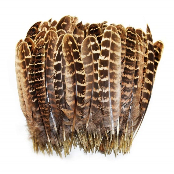 Pheasant Dummy 500gwith Real Feather DressIdeal for JagdlicheAuthentic 