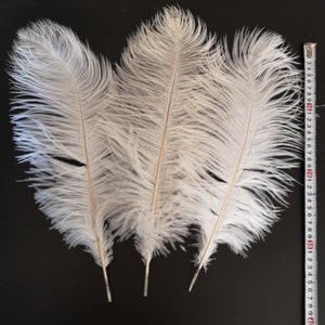 10-1000pcs High quality 14-16 inches white ostrich feather wedding decoration diy vase   arrangement dress making handmade feather