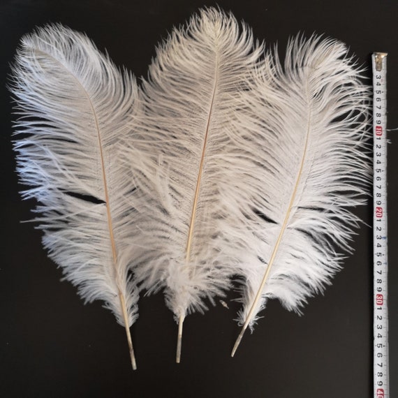 10 pcs 35-40cm/14-16inch Wedding Ostrich Feathers Crafts White
