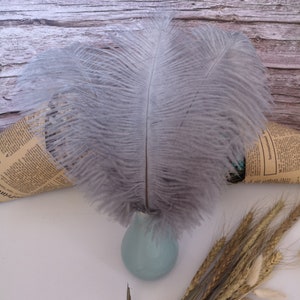 Gray Ostrich Feather 100pcs 6-30Inch/15-75CM Home Decor Wedding Arrangement High Quality Handmade Feathers