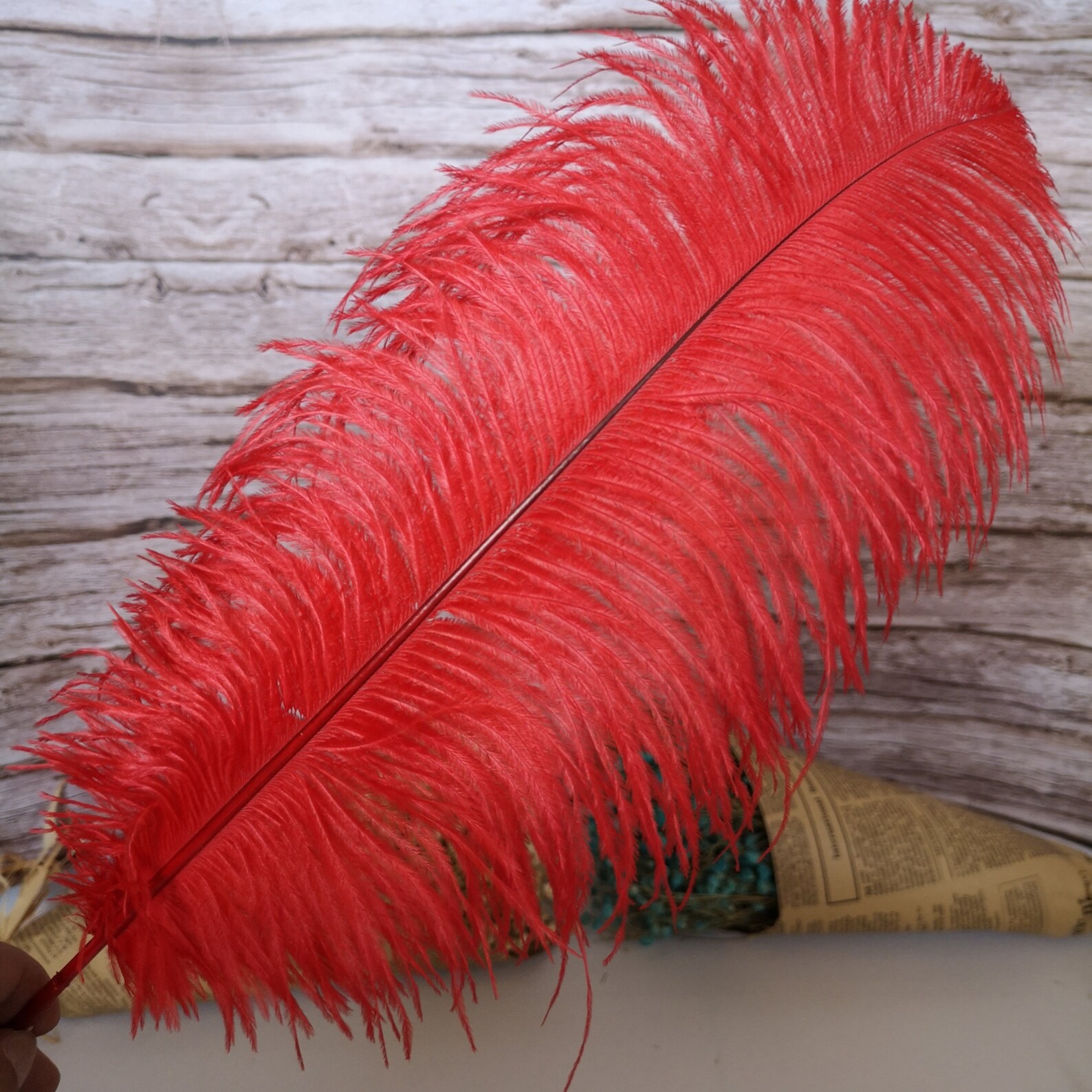 Red Ostrich Feather 100pcs 6-30inch/15-75cm Home Decor Wedding - Etsy