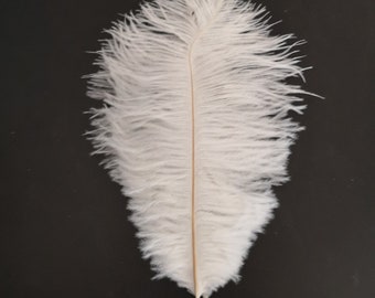 10-1000pcs High quality 12-14 inches white ostrich feather wedding decoration diy vase   arrangement dress making handmade feather