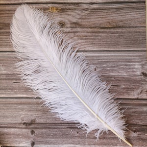 10-100pcs High quality 22-24 inches white ostrich feather wedding decoration diy vase   arrangement dress making handmade feather