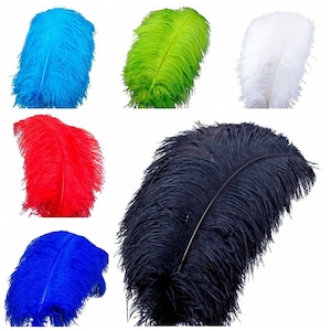 Puede incluir: Un conjunto de diez plumas de avestruz en varios colores, incluyendo negro, blanco, rojo, azul, verde y turquesa. Las plumas son largas y esponjosas, con una curva natural.