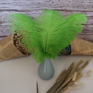 Green Ostrich Feather 100pcs 6-30Inch/15-75CM Home Decor Wedding Arrangement High Quality Handmade Feathers