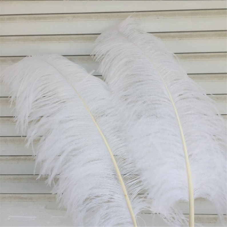 AAA 100pcs High quality 20-22 inches white ostrich feather wedding decoration diy vase arrangement dress making handmade feather image 4