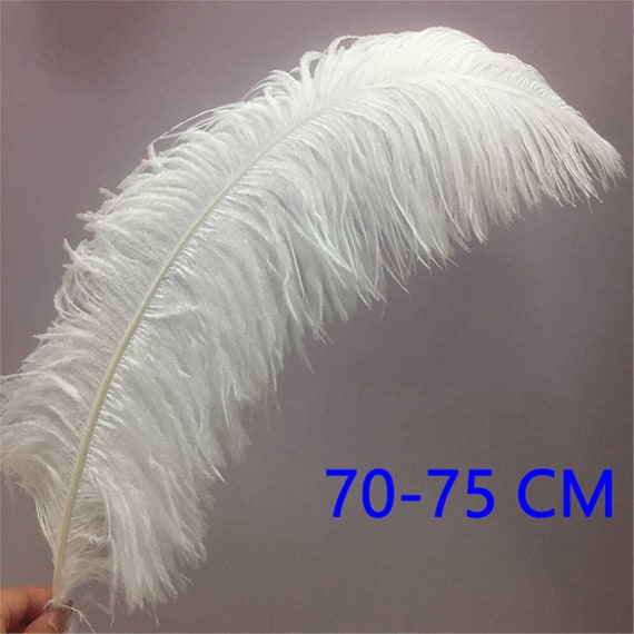 20 inch on sale white ostrich feathers