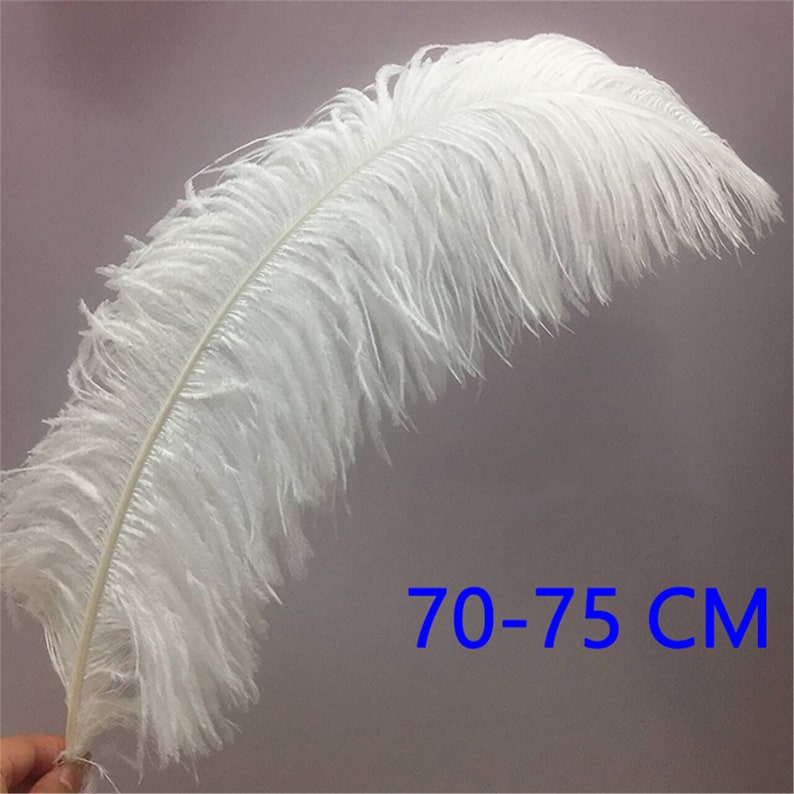 AAA 10pcs High quality 6-32 inches natural ostrich feather wedding decoration diy vase arrangement dress making handmade feather 30colors image 9