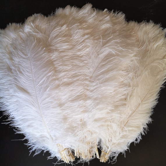 Large Ostrich Feathers Bulk: 16-18 Inch (40-45cm) Ostrich Feathers Bulk,  Large Feathers for Centerpieces, Vase, Flower Arrangement and Home  Decoration