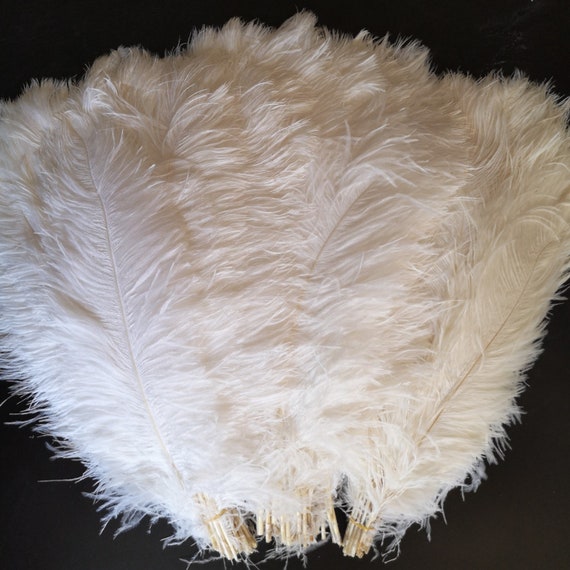 Bulk Gray Ostrich Feathers Plumes 22-24 inches Wholesale Large