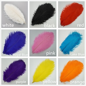 AAA 10pcs High quality 6-32 inches natural ostrich feather wedding decoration diy vase arrangement dress making handmade feather 30colors image 2