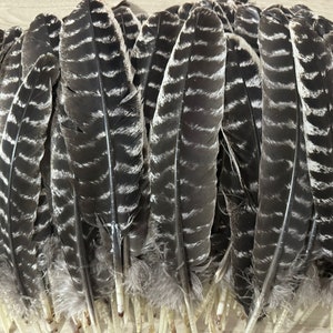 AAAAA piuma di tacchino naturale striscio purificazione energetica modello rituale piuma fai da te materiale salvia accessori coordinati