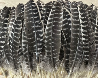 AAAAA natural turkey feather smear purification energy ritual pattern feather diy making material sage matching accessories