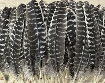 AAAAA natural turkey feather smear purification energy ritual pattern feather diy making material sage matching accessories