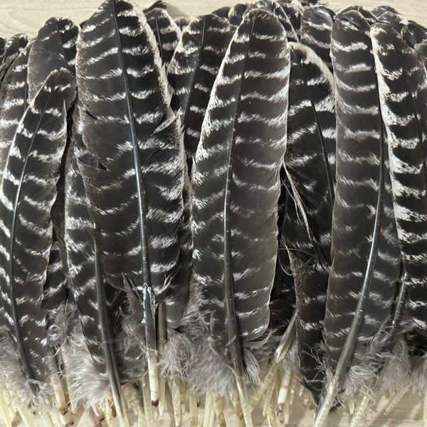 AAAAA natural turkey feather smear purification energy ritual pattern feather diy making material sage matching accessories