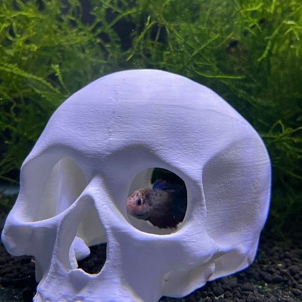 Skull Aquarium Decor Etsy