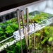 Aqua scape Tool Holder for Rimless Tanks | Rimless Aquariums