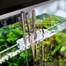 Aqua scape Tool Holder for Rimless Tanks | Rimless Aquariums 