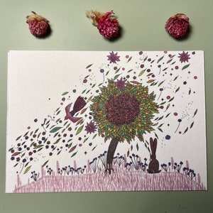 Illustration ‘du vent rose dans les plumes’