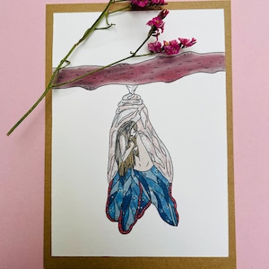 Illustration papillon