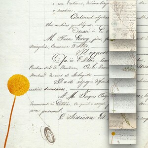 May include: A vintage, handwritten document with faded ink and a yellow flower illustration. The text includes the words "Contenant adjidia", "Dressé à", "M. Firon Leroy", "Qu'à l'Allia", "Canton sud de Jourdan", "Marchand de vins et Aubergiste", "Il a été adjugé", "A.M. Jacquis Enon", "Innuurant à Cassées", "Ce qu'il a atcasti", "preme posomal", and "Sixième fot".